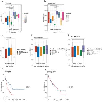 Immune-based subgroups uncover diverse tumor immunogenicity and implications for prognosis and precision therapy in acute myeloid leukemia